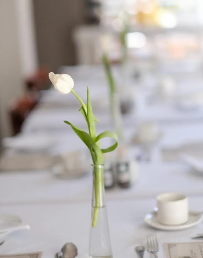 Constantia White Lodge Guest House Kapstadt